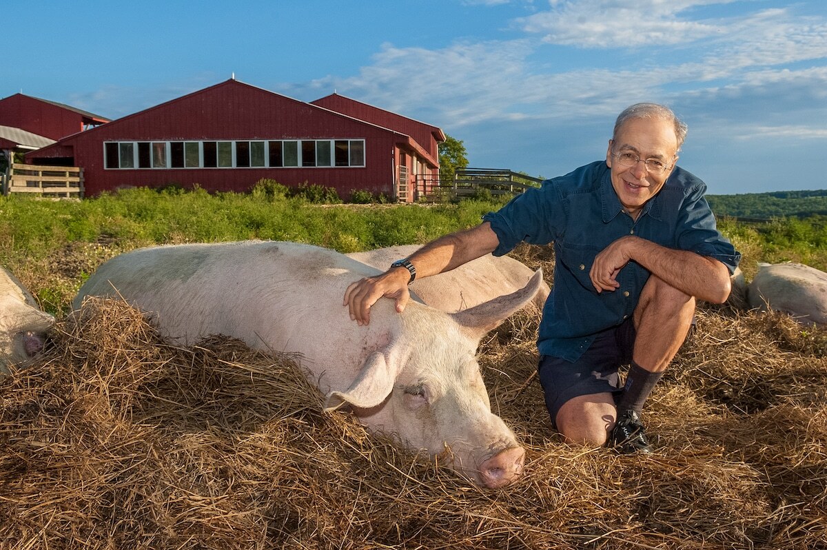 Bir Filozofun Etik Diyet Rehberi: Peter Singer ile Bir Söyleşi